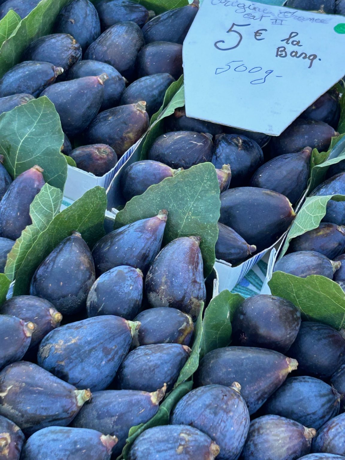 Sally Clarke Newsletter Sally Clarke